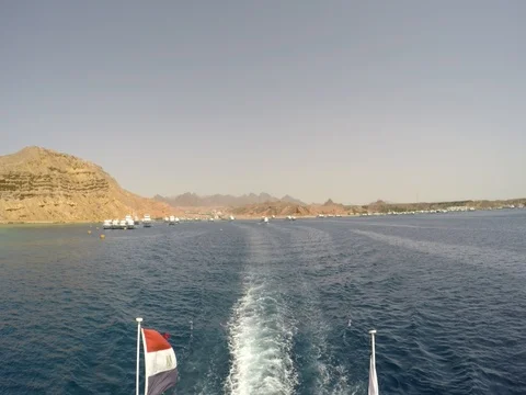 Tour on a coral reef Stock Footage 72770418
