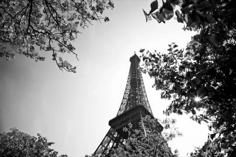 Tour eiffel 스톡 사진