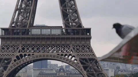 Tour Eiffel tilting shot Stock Footage 56706928