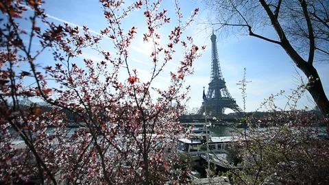 Tour Eiffel tower during a sunny spring day. Vídeo Stock 171621196