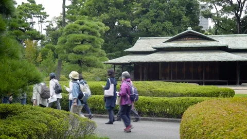 Tour Group of Elderly Asians Sightseeing Stock Footage 104407498