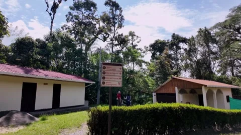 Tour guide showing the visitor center inside Tierradentro Archaeological Park Видео 335961734