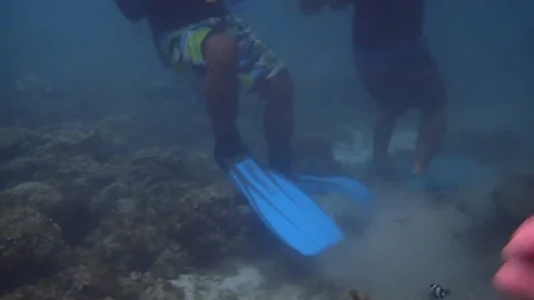Tour guides damaging corals Stock Footage 132597795