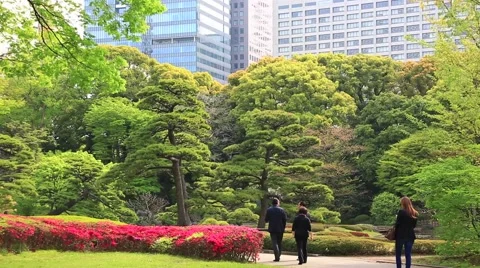 Touring the Imperial Palace grounds in Springtime Video stock 47749148