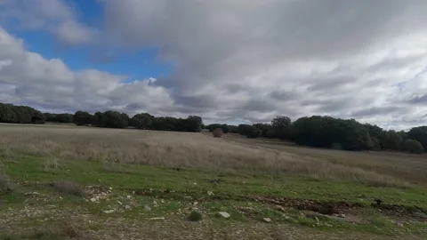 Touring the meadow by car Stock Footage 222008624