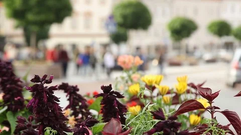 Tourism. Crowd of people. Multi colored clothes walking on a sunny day. City. 스톡 동영상 79166611