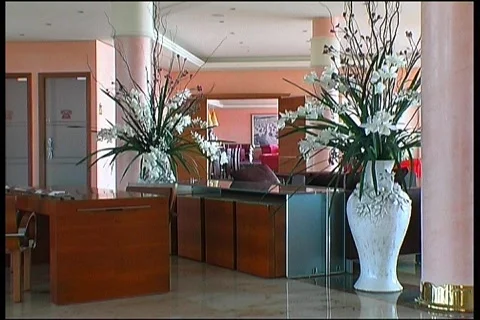 Tourism - NTSC Stock Footage 369916