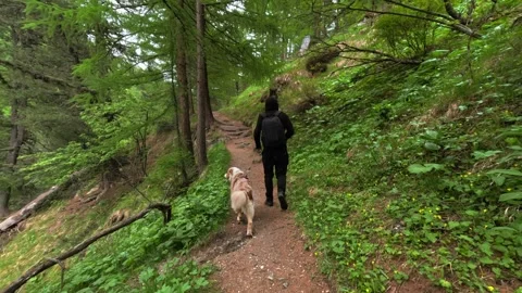 Tourist active man with a backpack walking his dog on a mountain trail path Stock Footage 301547520