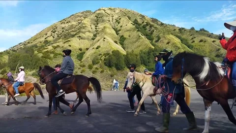 Tourist activities on Mount Bromo Stock Footage 210949652