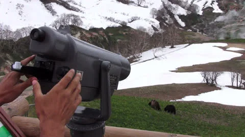 Tourist and bears 스톡 동영상 24796385