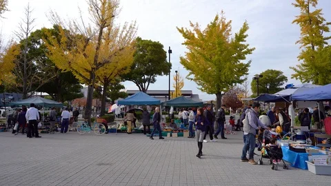 Tourist are seen visiting a flea market in front of Himeji Castle Stock Footage 102493413