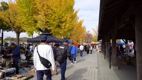 Tourist are seen visiting a flea market in front of Himeji Castle Stock Footage 102493527