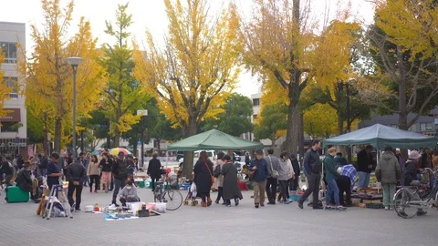 Tourist are seen visiting a flea market in front of Himeji Castle Stock Footage 102494247