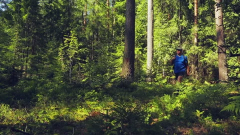 A tourist with a backpack behind his back strolls through the forest. Stock Footage 93849101