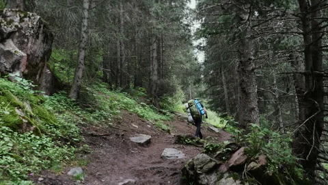 A tourist with a backpack climbs to the top of a mountain along a forest path. Stock Footage 313100953