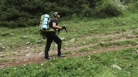 A tourist with a backpack climbs to the top of a mountain along a forest path. Stock Footage 313101231