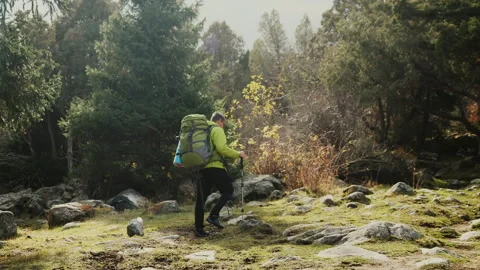 A tourist with a backpack climbs to the top of a mountain along a forest path. Stock Footage 319975579