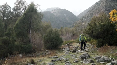 A tourist with a backpack climbs to the top of a mountain along a forest path. Stock Footage 319975617