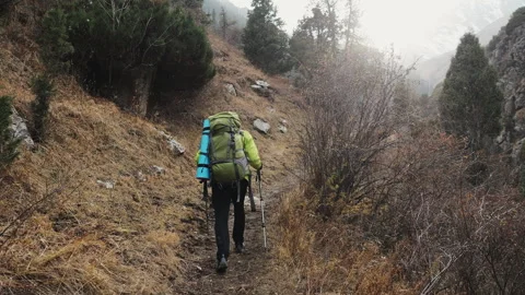 A tourist with a backpack climbs to the top of a mountain along a forest path. Stock Footage 319975663