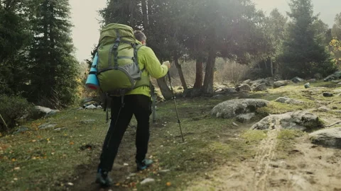A tourist with a backpack climbs to the top of a mountain along a forest path. Stock Footage 319975711