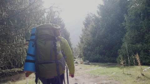A tourist with a backpack climbs to the top of a mountain along a forest path. Stock Footage 319976038