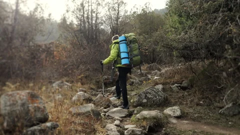 A tourist with a backpack climbs to the top of a mountain along a forest path. Stock Footage 319976243