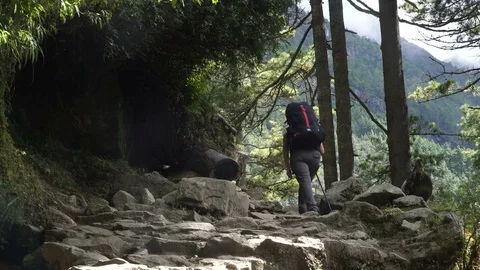 Tourist with a backpack Stock Footage 83236932