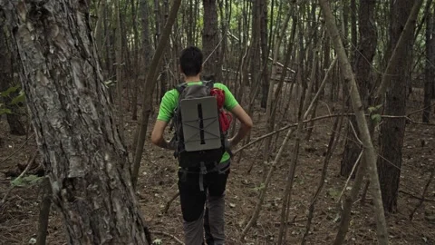 Tourist with a Backpack Goes Down the Stone Mountain Path in the Forest Stock Footage 161961565