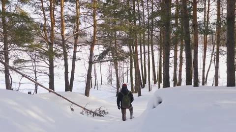 Tourist with a backpack got lost in the winter forest Stock-Footage 194450670