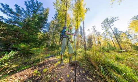 Tourist with a backpack walking through the forest with rocks Stock Photos