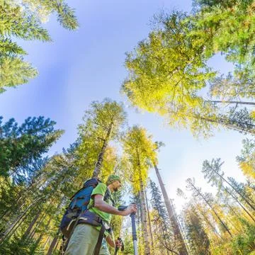 Tourist with a backpack walking through the forest with rocks Stock Photos