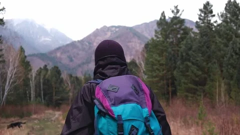 Tourist with backpack walks along forest trail mountains. back view. slow motion Stock Footage 229835372