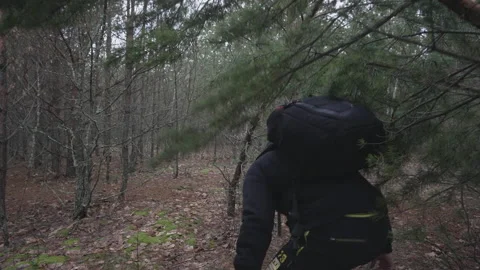 Tourist with a backpack walks through the forest Stock Footage 231714593