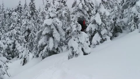 Tourist with a backpack in a winter hike in the mountains. Vidéo 219952234