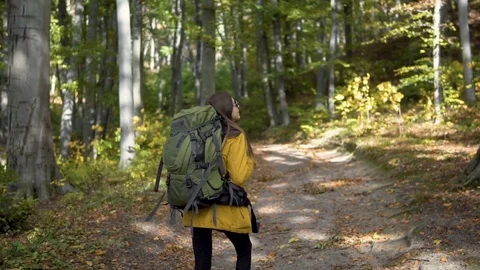 Tourist Backpacks in Forest Видео 81130596