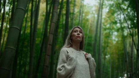 Tourist, bamboo forest Stock Footage 221757060