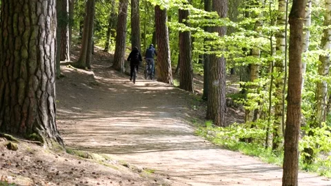 Tourist Bikers Exploring Forest Roads in Spring Видео 336734082