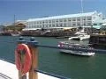 Tourist Boat at V&A Waterfront with Seal behind, Cape Town GFSD SD Footage