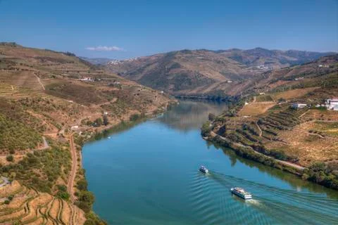 Tourist boats, vineyards and the Douro River, Alto Douro Wine Valley, UNESCO Stock Photos