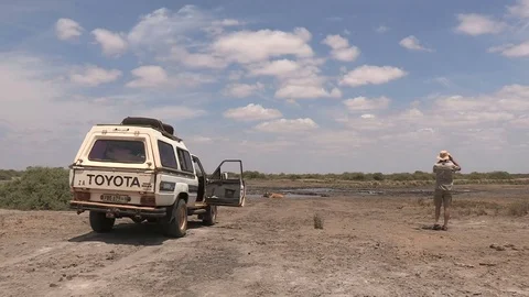Tourist in Botswana - HD Video stock 84273694