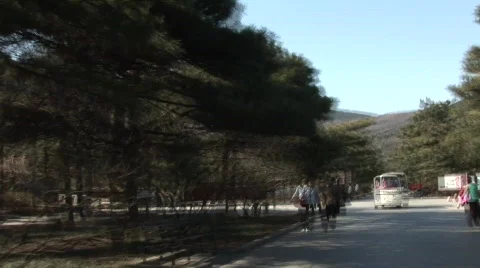 Tourist bus Video stock 361910