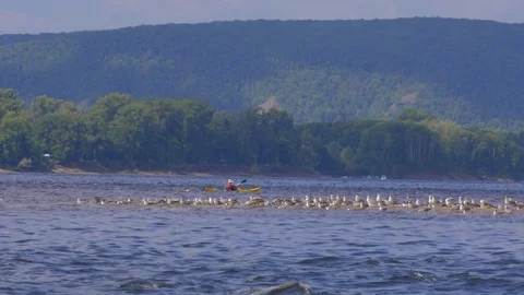 Tourist canoe in the river Video stock 79360323