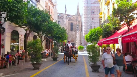 Tourist carriage in Casco Antiguo, Seville, Spain Stock Footage