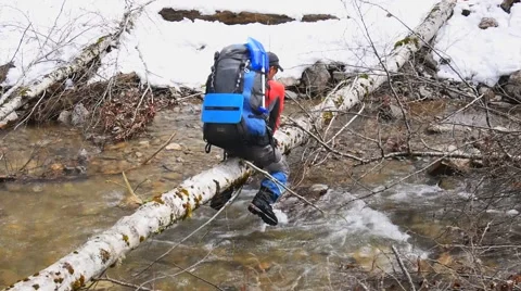 Tourist crawling on a fallen tree trunk around his hips Stock Footage 50767098