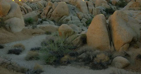 Tourist explores large rock formations at Joshua Tree National Park. Stock Footage 72994096