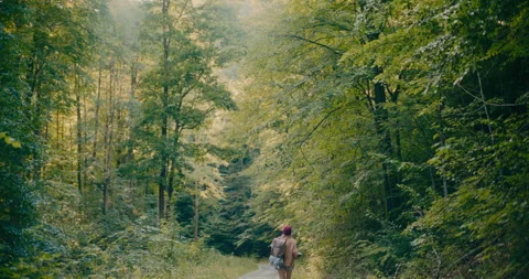 Tourist Exploring Woods During Vacation Video stock 252018489