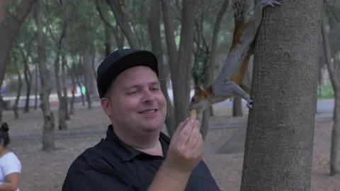 A Tourist Feeds Friendly Squirrel Peanut In Chapultepec Park, Mexico City Stock Footage 154534656
