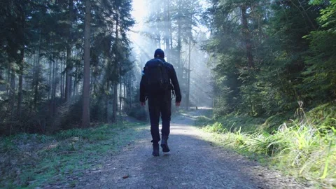 Tourist in the forest Stock Footage 241184717