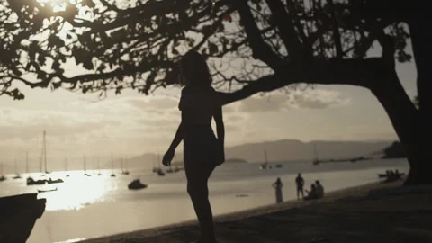 Tourist getting to know Florianópolis Stock Footage 162512266