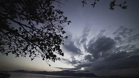 Tourist getting to know Florianópolis Stock Footage 162512626